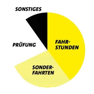 Kreisdiagramm Führerschein