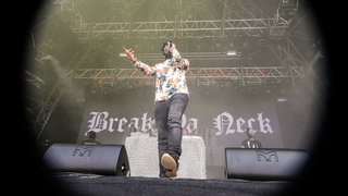 Genetikk beim Openair Frauenfeld 2014