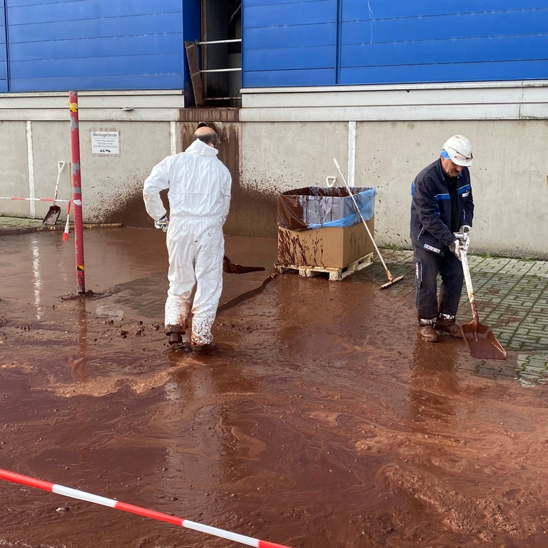 Mannheim-Jungbusch: "Nachtwandel" Hat 2022 Wieder Stattgefunden - SWR ...