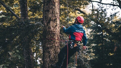 Die Bergwacht rettet einen 17-jährigen Geocatcher in Freiburg Zähringen.