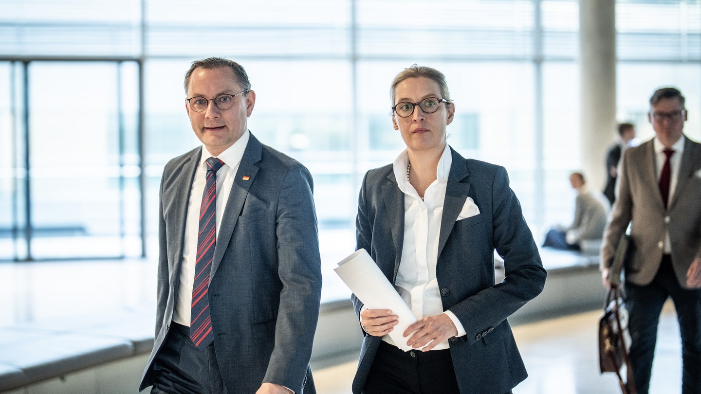 Geheimtreffen: So Reagieren Die AfD-Chefs Weidel Und Chrupalla - NEWSZONE