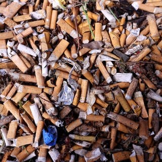 Die belgische Stadt Ath sammelt Zigarettenstummel, um sie zu recyclen.