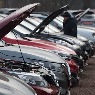 Neu- und Gebrauchtwagen stehen bei einem Autohändler nebeneinander. 