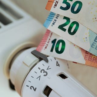An ein Heizungs-Thermostat werden verschiedene Euro-Gelscheine gehalten.