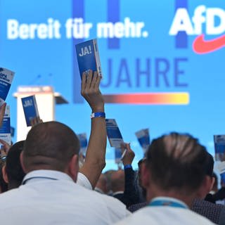 "Bereit für mehr": So lautet das Motto zum diesjährigen Parteitag der AfD in Magdeburg.