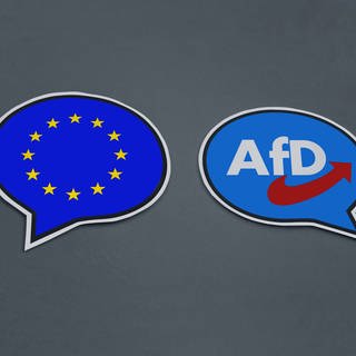 Die AfD hielt eine Versammlung für die Europawahl ab.
