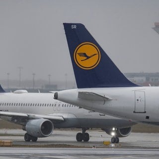 14.03.2019, Hessen, FrankfurtMain: Im strömenden Regen stehen Lufthansa-Maschinen auf dem Rollfeld des Flughafens Frankfurt. Die Airline konnte im vergangenen Jahr trotz Umsatzrückgängen einen Gewinn von rund zwei Milliarden Euro verbuchen. Foto: Boris Roesslerdpa