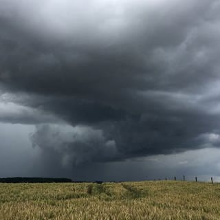 Bei einem Unwetter im Eifelkreis Bitburg-Prüm wurden unter anderem 15 Dächer abgedeckt - einige davon komplett.