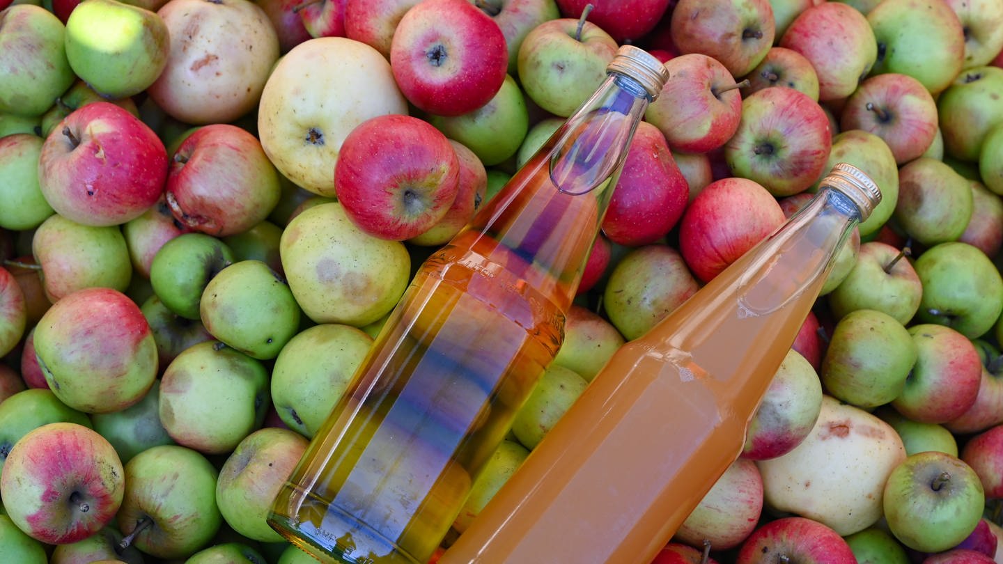 In einer Mosterei liegen zwei Flaschen mit klarem und naturtrüben Apfelsaft auf Äpfeln. Die deutsche Fruchtsaft-Industrie rechnet für die laufende Keltersaison mit einer geringeren Apfelsaftmenge als im Vorjahr.