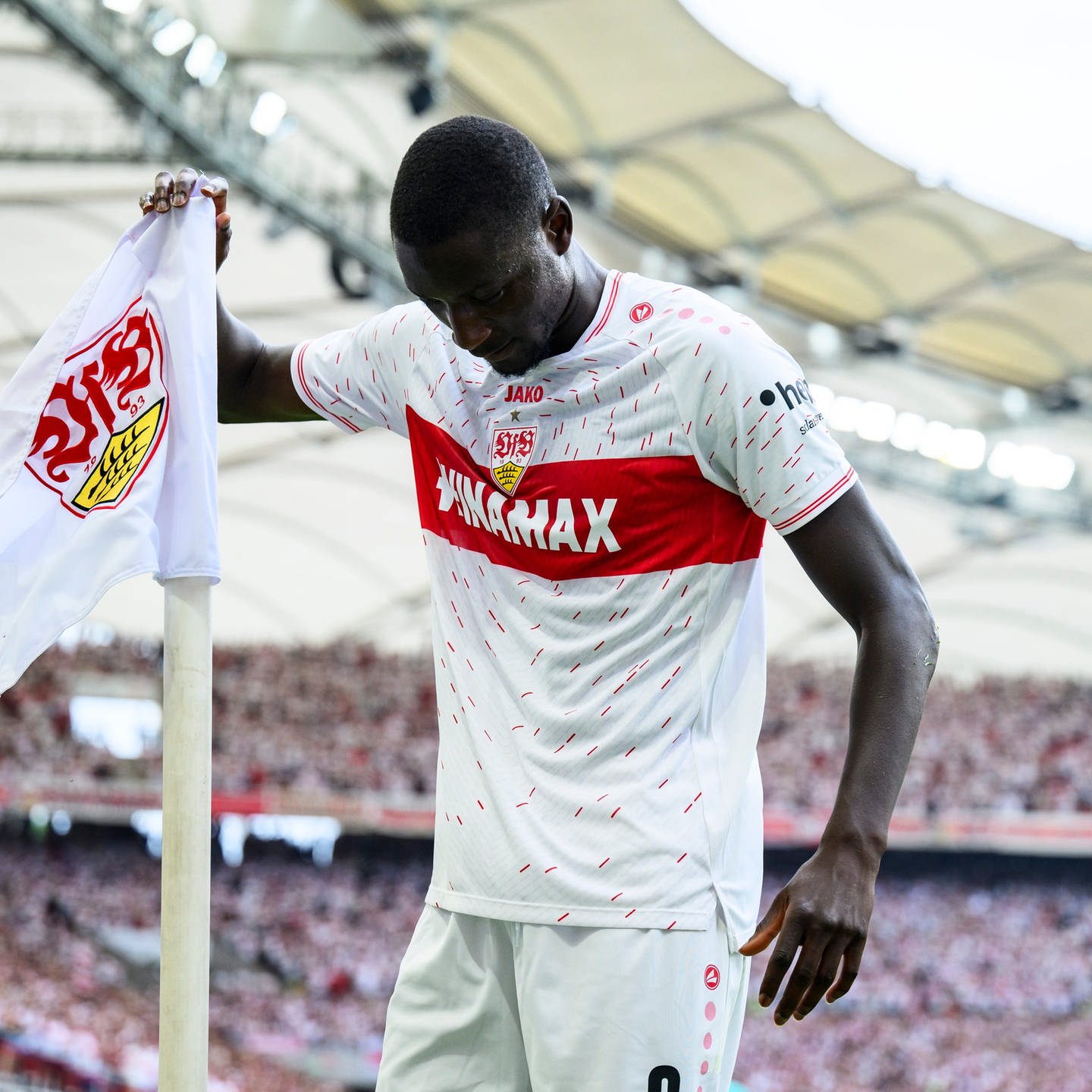 Serhou Guirassy verletzt: Schock für VfB Stuttgart - NEWSZONE