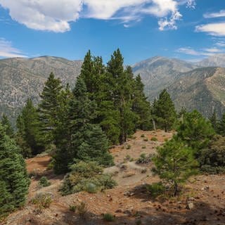 Mount Baldy in Los Angeles County.