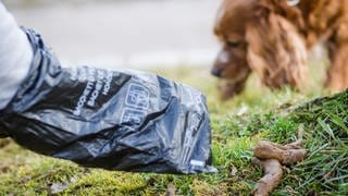 Ein Hundebesitzer sammelt das Häufchen seines Hundes auf. In Südtirol müssen Hundebesitzer seit Anfang des Jahres eine DNA-Probe ihres Hundes abgeben.