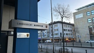 Im Prozess um den Tod eines Mannes nach einem Polizeieinsatz in Mannheim hat das Landgericht den Hauptangeklagten zu einer Geldstrafe verurteilt. 