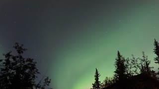 Grünes Band eines Polarlichtes strahlt am klaren Nachthimmel.