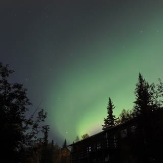 Grünes Band eines Polarlichtes strahlt am klaren Nachthimmel.