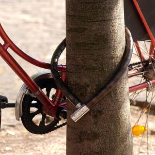 Fahrrad abgeschlossen am Baum 