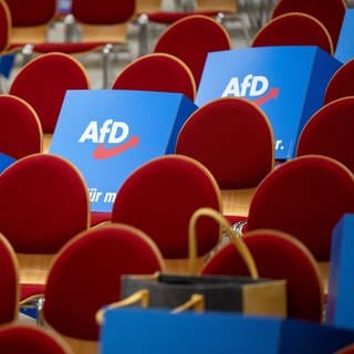 Pappaufsteller mit dem Logo der AfD liegen vor Beginn des Landesparteitags der AfD Brandenburg auf den Stühlen in der Wiesenhalle.