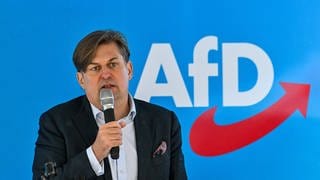 Der AfD-Abgeordnete Maximilian Krah spricht in ein Mikrofon.