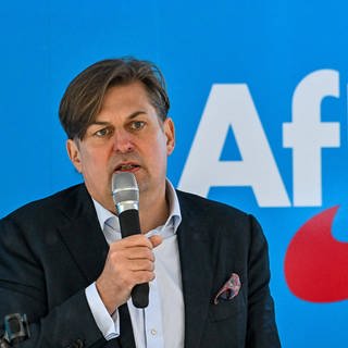 Der AfD-Abgeordnete Maximilian Krah spricht in ein Mikrofon.