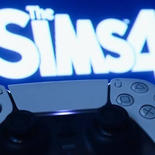 Sims 4 mit Playstation Controller