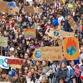 Menschen beim Klimastreik mit Plakaten und Schildern mit Forderungen an die Politik - Mit dem neusten Klimastreik will FFF will vor allem junge Leute informieren und motivieren, bei der Europawahl am 9. Juni mitzumachen. 