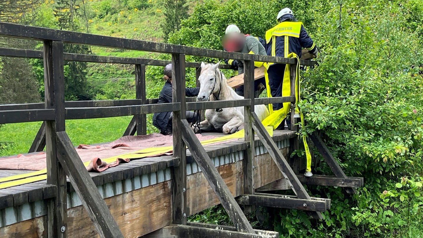 Dieses von der Polizeiinspektion Hermeskeil zur Verfügung gestellte Foto zeigt ein Pferd, das in eine hölzerne Fußgängerbrücke im Kreis Trier-Saarburg eingebrochen ist.