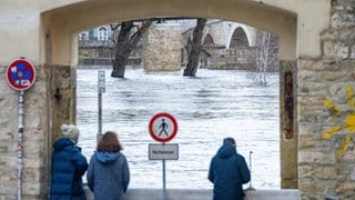 Die Donau führt an der Steinernen Brücke in Regensburg Hochwasser. 