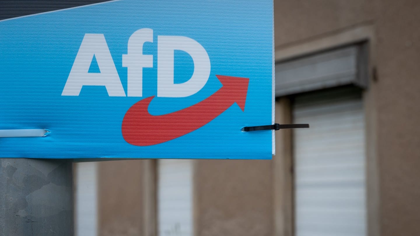 Ein Wahlplakat der AfD Kandidaten hängt an einem Laternenmast (Symbolbild)