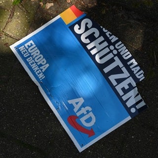 Immer mehr zerstörte Wahlplakate: Ein AFD-Wahlplakat liegt auf dem Gehweg (Symbolbild)