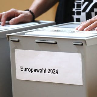 Bild von Wahlurne der Europawahl