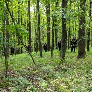 Polizei durchsucht Waldstück 