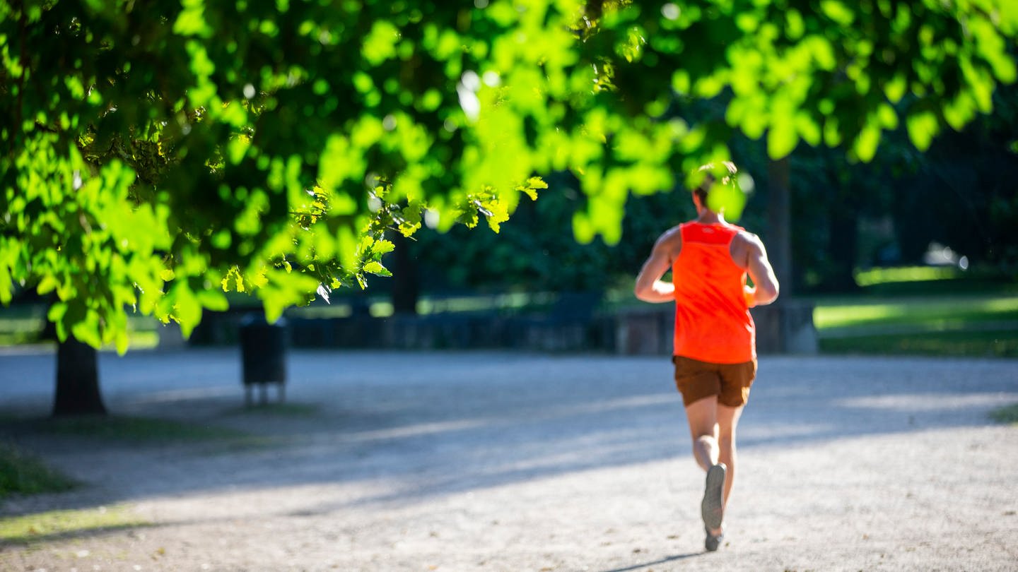 Ein Jogger läuft am frühen Morgen durch einen Stadtwald. Laut WHO bewegen sich die Menschen weltweit viel zu wenig. (Symbolbild)