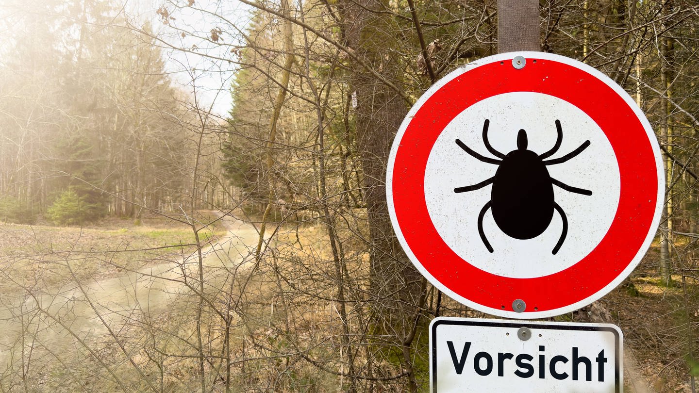 Warnung vor Zecken: Besonders in Süddeutschaland ist die Gefahr von FSME besonders hoch.