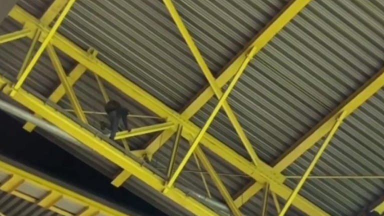 Der Stadion-Kletterer von Dortmund
