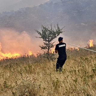 Waldbrand in Albanien