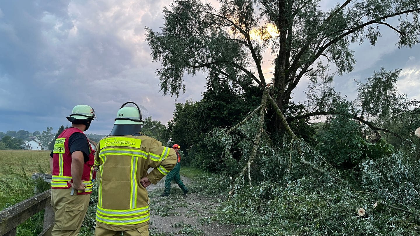 Feuerwehrleute stehen vor einem umgestürzten Baum - Unwetter im Kreis Sigmaringen