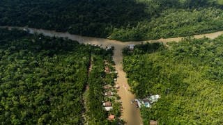 Blick auf den Fluss Guama und die Insel Combu im Amazonas-Regenwald.