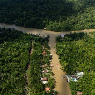 Blick auf den Fluss Guama und die Insel Combu im Amazonas-Regenwald.