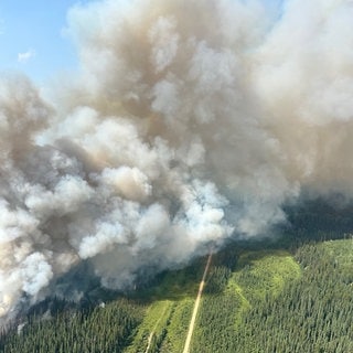 Ein Luftbild zeigt den Rauch von Waldbränden, der Anfang dieser Woche über dem Jasper-Nationalpark aufsteigt. Extreme Hitze und Trockenheit haben in der gesamten Provinz zu zahlreichen neuen Waldbränden geführt.