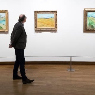 SYMBOLBILD: Ein Mann betrachtet Bilder einer Ausstellung - hier handelt es sich um eine Ausstellung im Van-Gogh-Museum in Amsterdam.