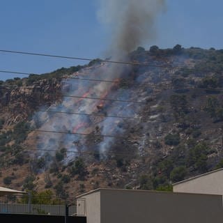 Nach einem Raketenangriff aus dem Libanon steigt im Norden Israels Rauch von einem Flächenbrand auf. Die Hisbollah behauptet israelische Offiziere und Soldaten mit Drohnen getroffen zu haben.