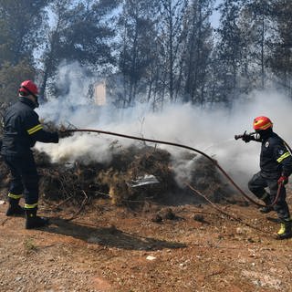 Feuerwehrleute im Einsatz gegen die Brände nordöstlich von Athen. 