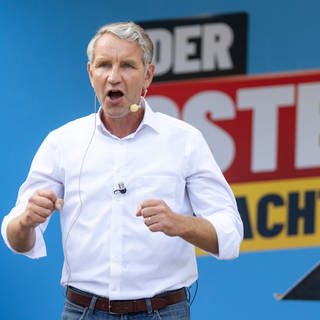 Björn Höcke - Figure 1