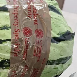 Paket, das als Wassermelone getarnt ist: Darin wurden Methamphetamin versteckt.