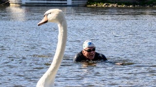 Professor Andreas Fath schwimmt 1083 Kilometer durch die Elbe