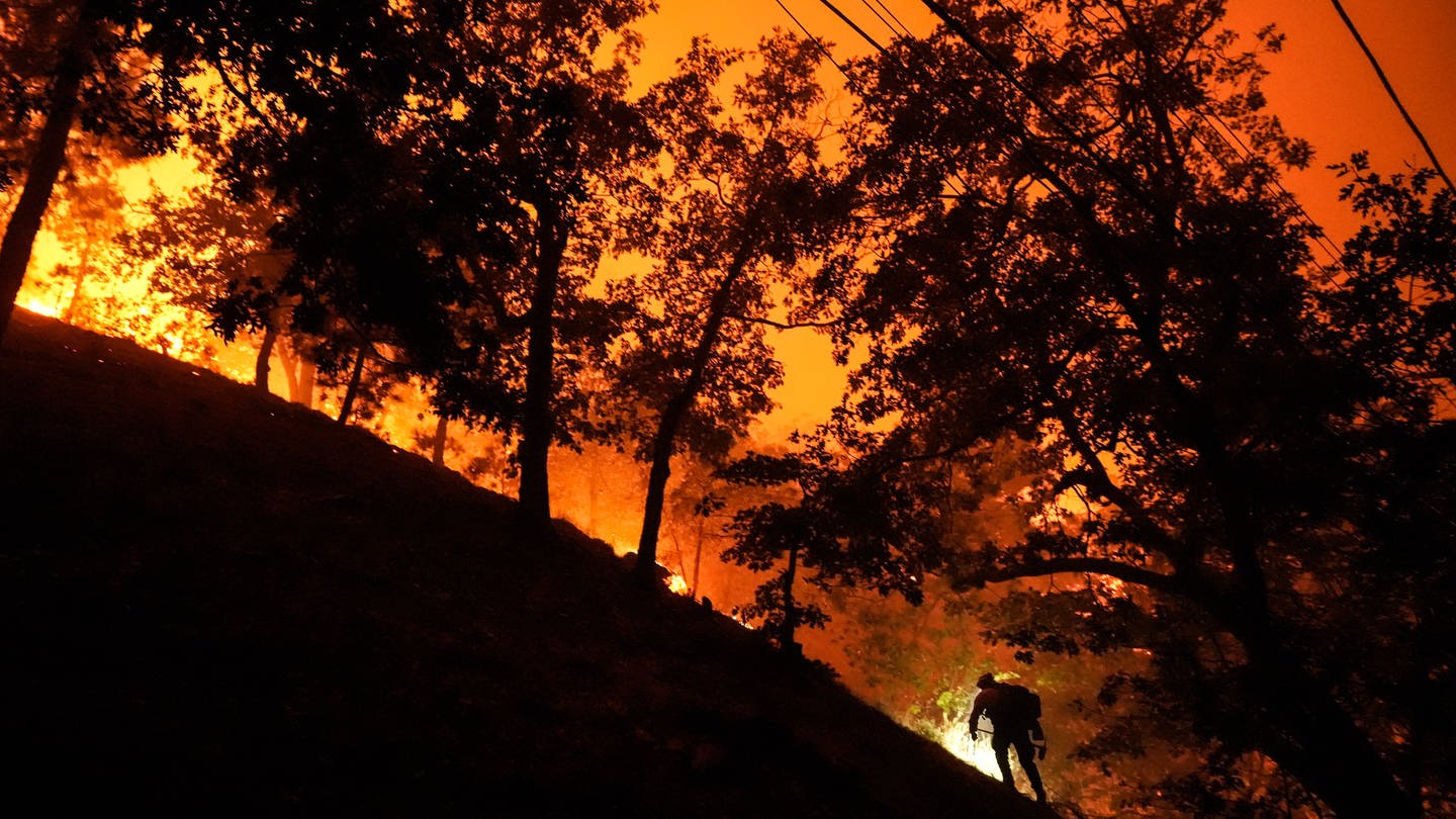 Waldbrand in Kalofornien USA: Menschen in Los Angeles müssen aus ihren Häusern vor dem Feuer fliehen