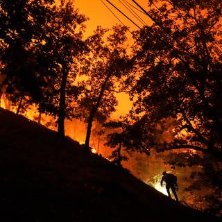 Waldbrand in Kalofornien USA: Menschen in Los Angeles müssen aus ihren Häusern vor dem Feuer fliehen