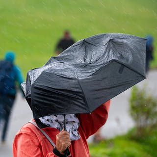 Spaziergänger laufen mit und ohne Schirm im Regen - In Teilen von Deutschland soll es Dauerregen geben.