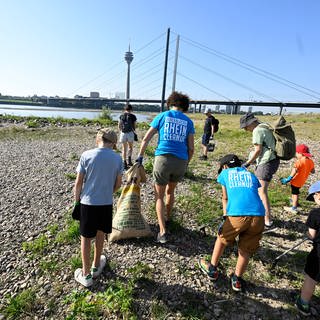 Freiwillige sammeln Müll am Ufer eines Flusses. Bei der Müllsammelaktion "Rhine Clean Up" rufen etwa 50 Initiativen und Vereine dazu auf, die Ufer des Flusses von Müll zu befreien.