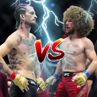 Sean O'Malley vs Merab Dvalishvili